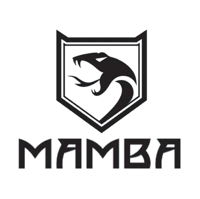 Describe the image clearly